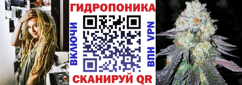 MDMA Вологда