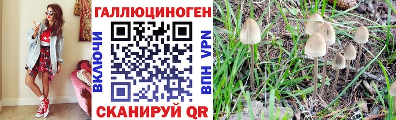 купить наркотик  Вологда  Галлюциногенные грибы Psilocybe 