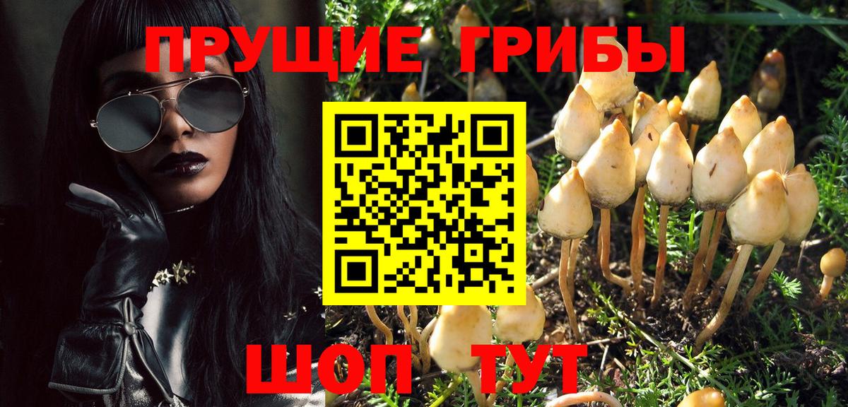 Галлюциногенные грибы прущие грибы  Вологда  Галлюциногенные грибы ЛСД 