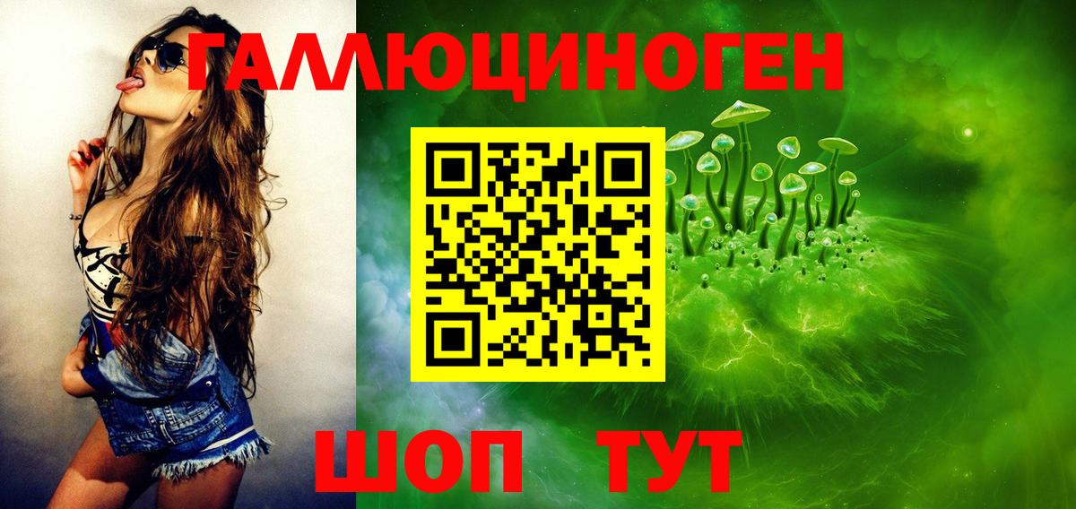 Псилоцибиновые грибы Psilocybine cubensis Вологда