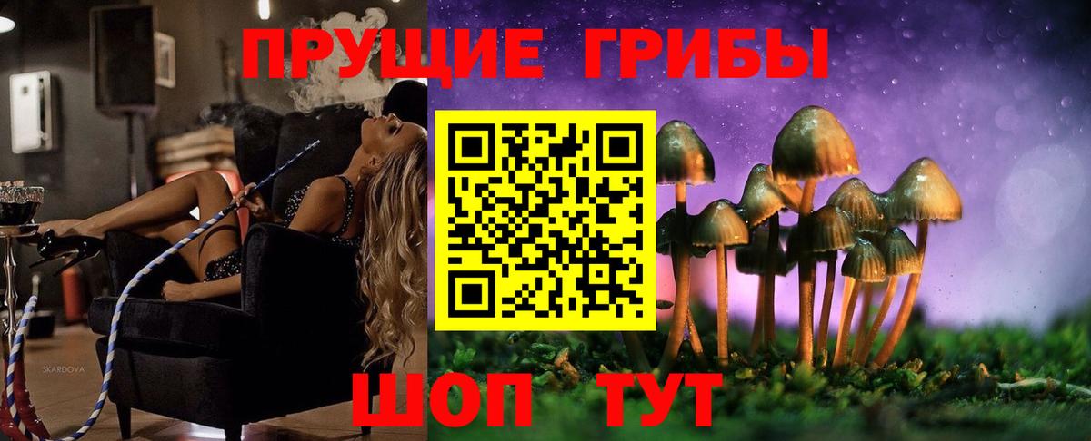 Галлюциногенные грибы Magic Shrooms  Вход с VPN  Вологда  Псилоцибиновые грибы Psilocybine cubensis 