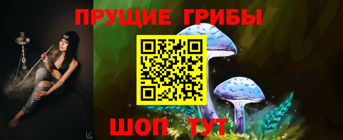 Псилоцибиновые грибы MAGIC MUSHROOMS  Вологда  Псилоцибиновые грибы MAGIC MUSHROOMS 