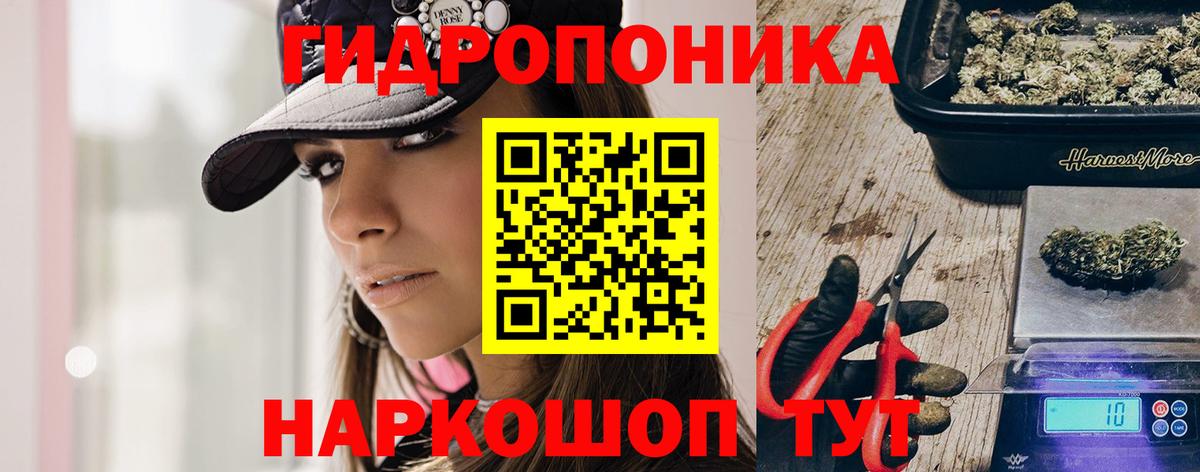 МАРИХУАНА марихуана Вологда